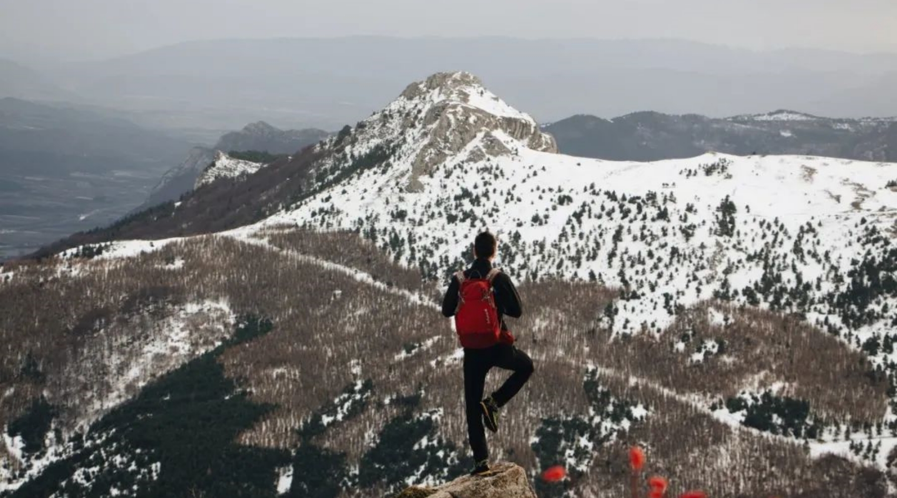 微服务中Token鉴权除了用JWT之外，还有什么方案？